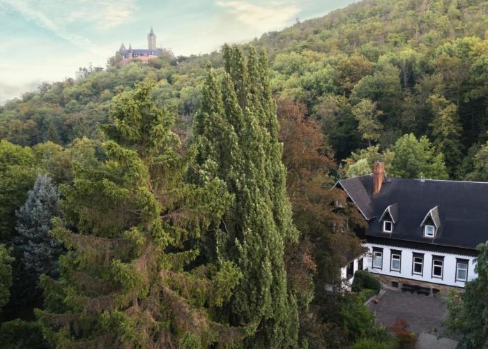Hotel Mühlental