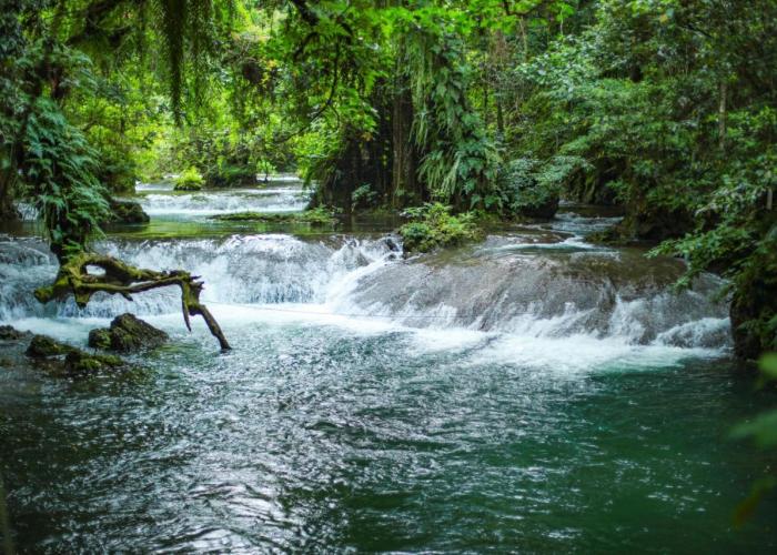 Stay at Eden on the River