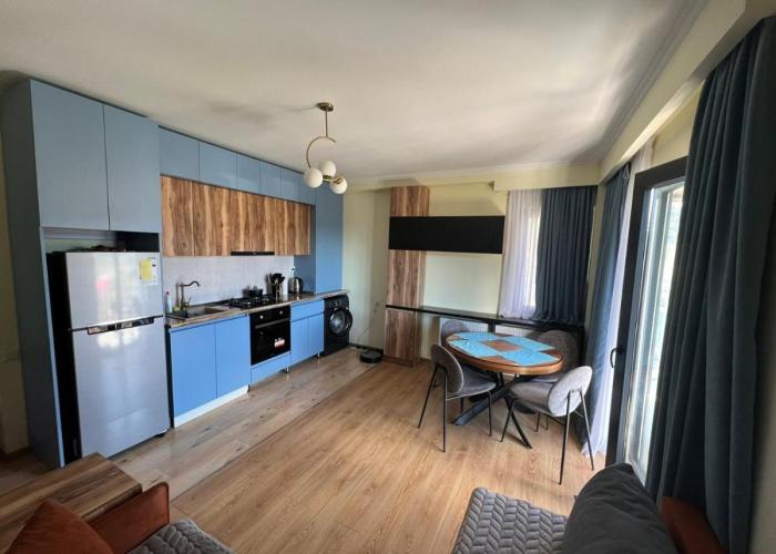 Old Bakuriani Apartment - 205