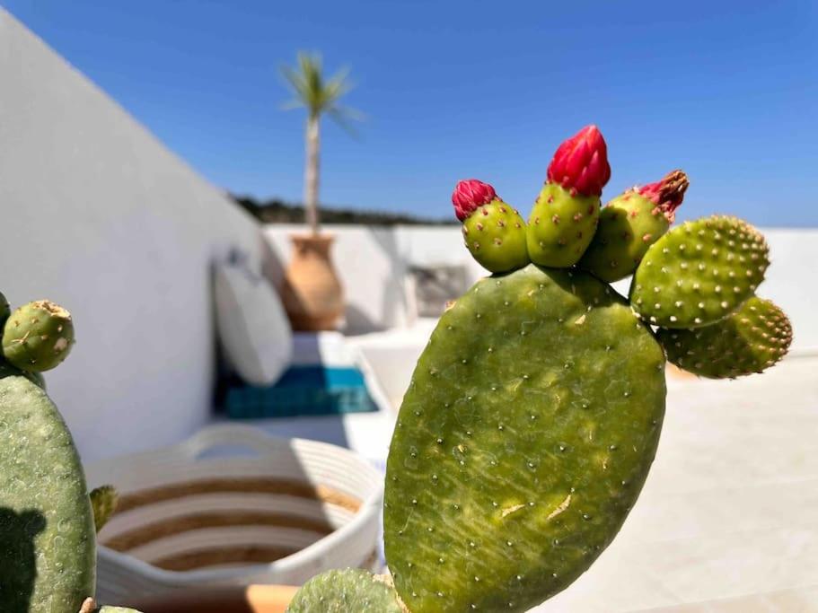 фото Villa Xanthippe