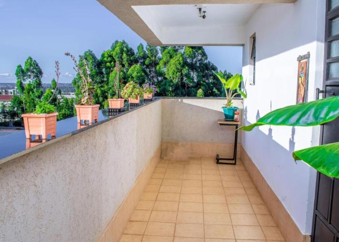 Apartment Penthouse