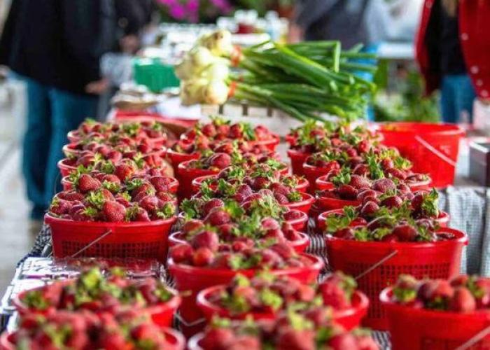 SweetSuiteCullman-couples retreat tiny home dwntwn