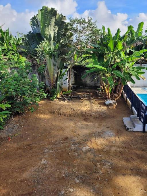 фото Villa bleue