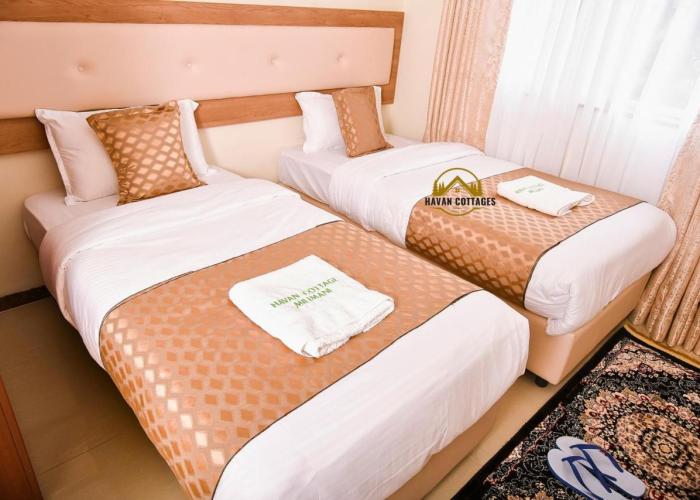 Havan Furnished Apartment-Milimani N9