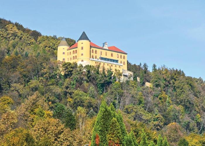 F96 TERME OLIMIA, Aqualuna KAMP NATURA PODČETRTEK card included all year