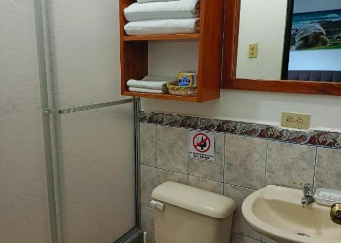 suite para tus vacaciones 3