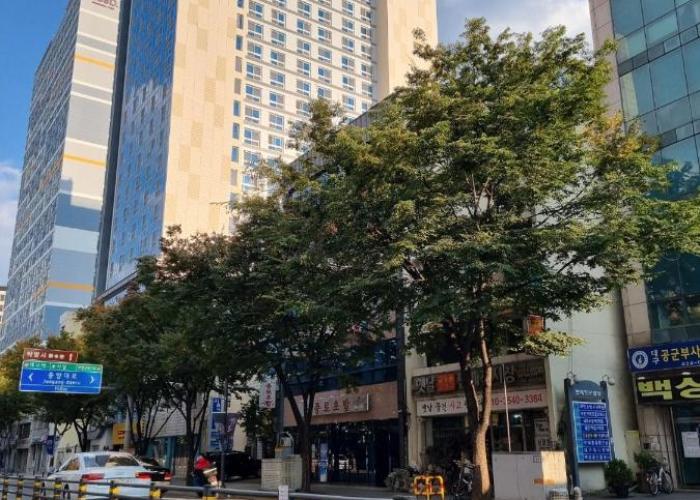 Daegu Star B&B DSR Hotel lily guestroom