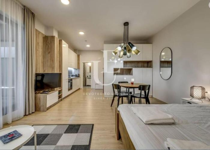 Geneva: A charming patio studio with private parking!