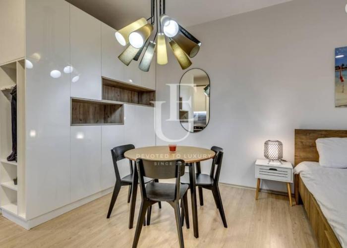Geneva: A charming patio studio with private parking!
