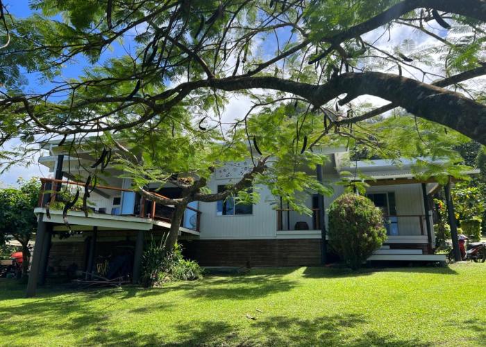 Avocado Retreat