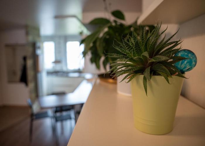 A-Apartment Wolfsburg