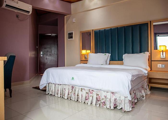 HOTEL MICKEL
