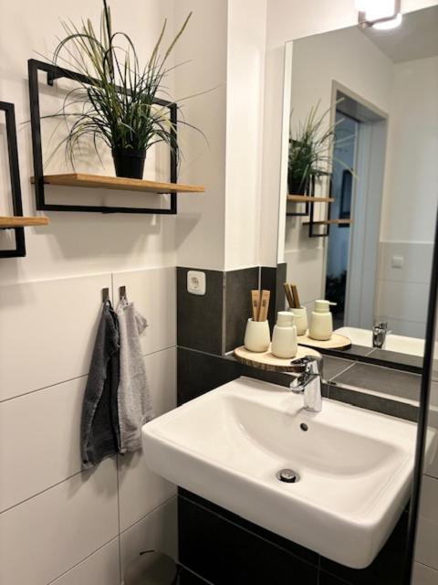 фото Charming Homes - Studio 10