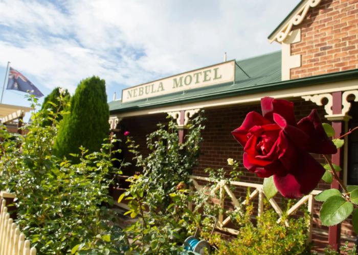 Nebula Motel Cooma
