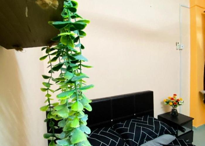 Izdisa Muslim Homestay For Muslim Groundfloor Pool view