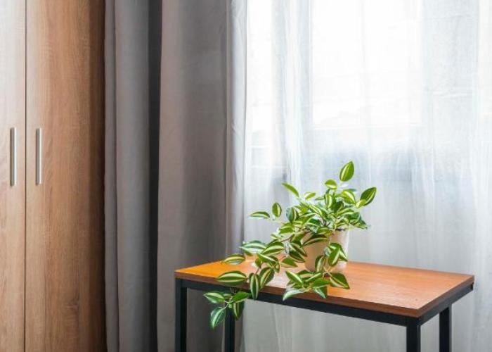 Tom Thumb & Thumbelina - 2 Private Rooms in Sofia Center by Flat Mаnager