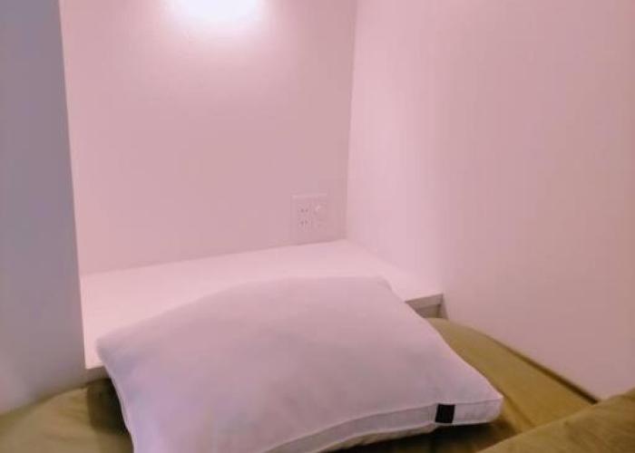 LILY's House
