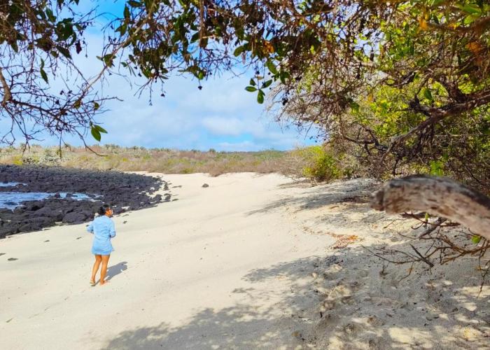 Cuarto en galápagos