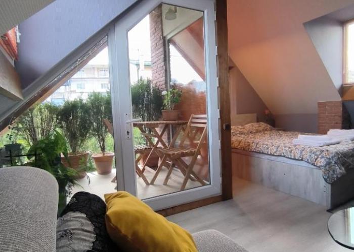 guest house Calma