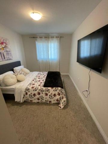 Holiday homes Holiday_Comfort
