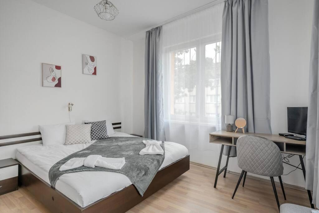 фото Spacious 3BD Central apartment