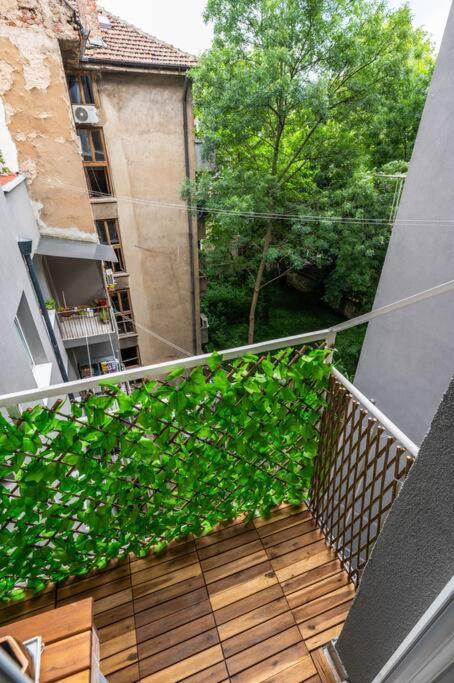 фото Spacious 3BD Central apartment