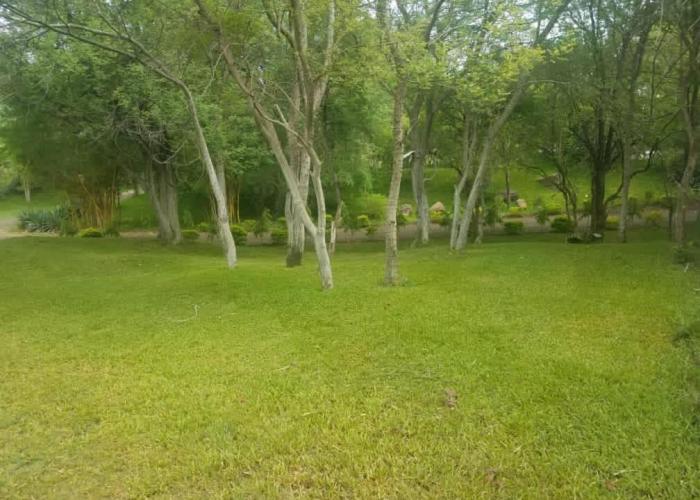 Adrenaline Lodge and Tours