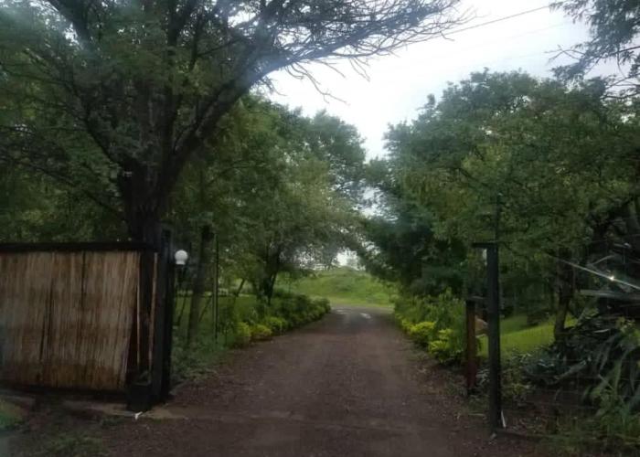Adrenaline Lodge and Tours