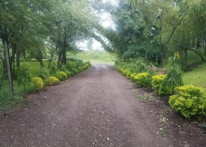 Adrenaline Lodge and Tours