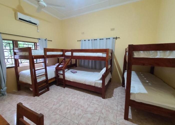 Adrenaline Lodge and Tours