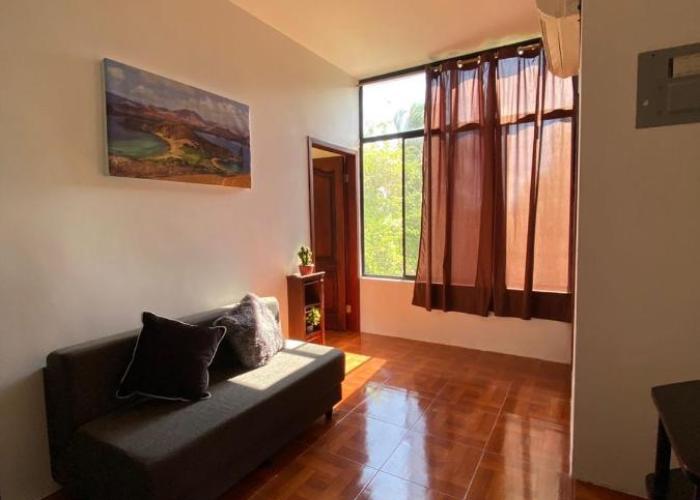 Galápagos Brunette Suites