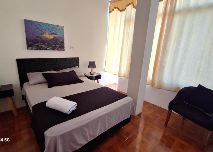 Galápagos Brunette Suites