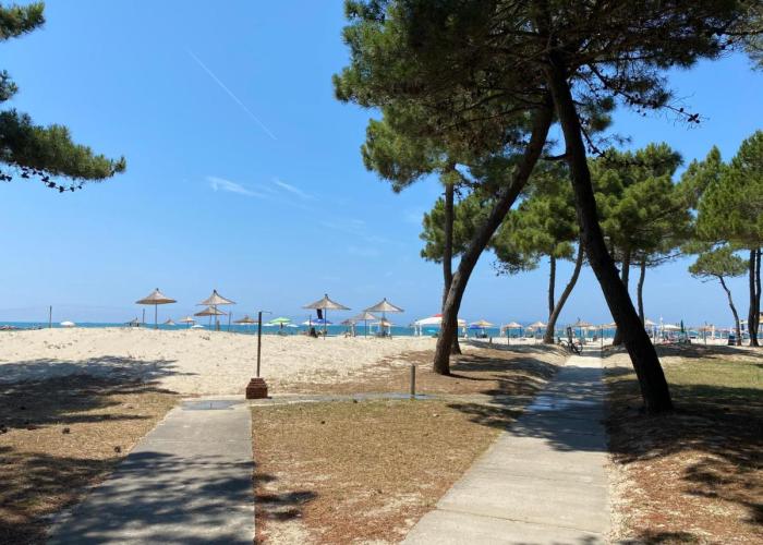 Pines Paradise at Blue Laguna Residence