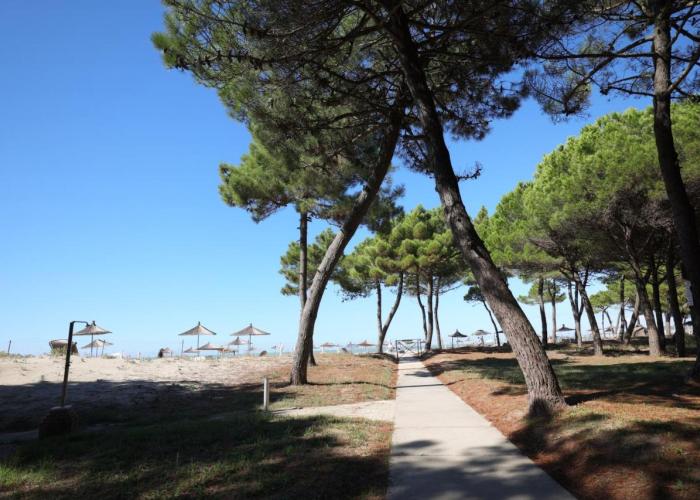 Pines Paradise at Blue Laguna Residence