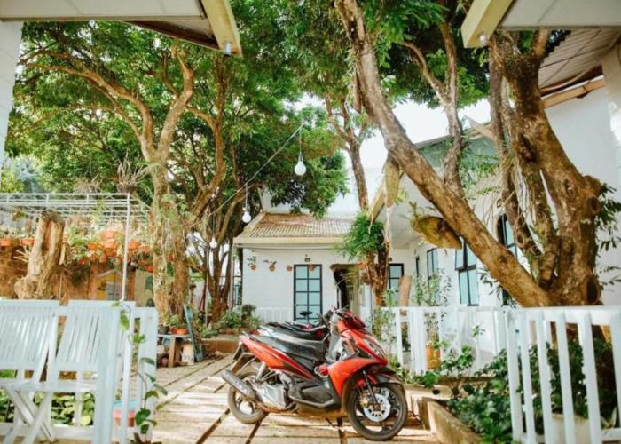 Homestay Vườn nhãn