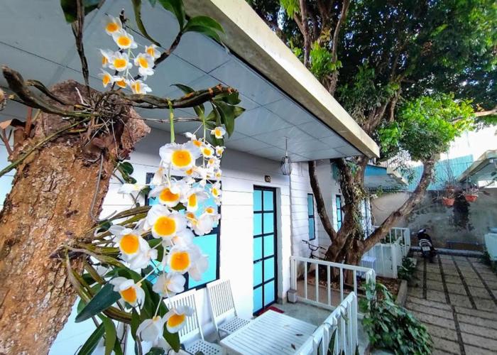 Homestay Vườn nhãn
