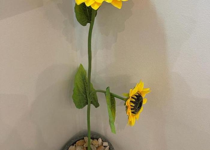 Apartment Akpakpa-Deluxe