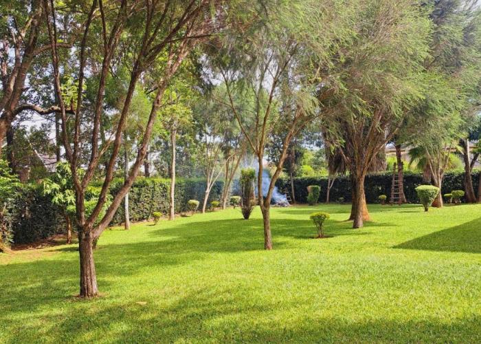 Greenview Homes