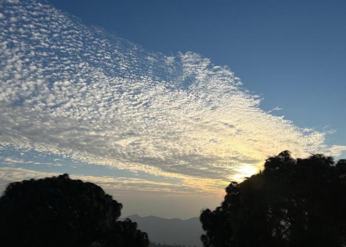 Green banglow resort kasauli