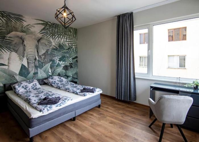 Jungle apartment in the center