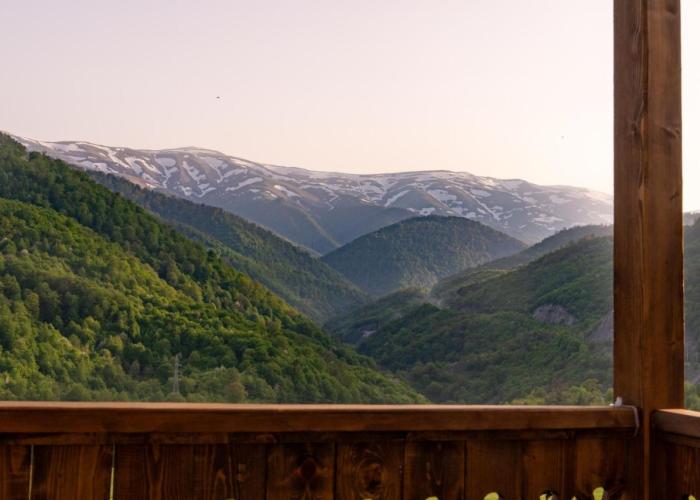 Motives Inn Dilijan