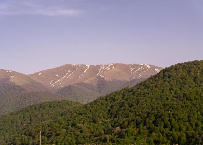 Motives Inn Dilijan