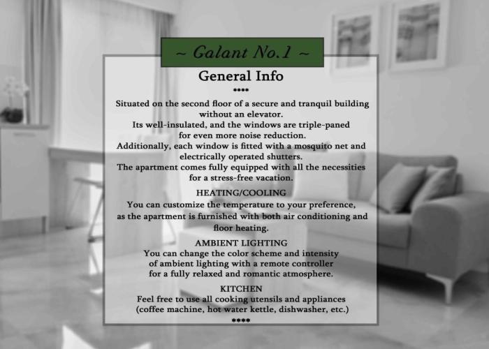 Luxury apartment Galant 1