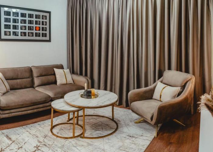 Elegant Living Apartment 2