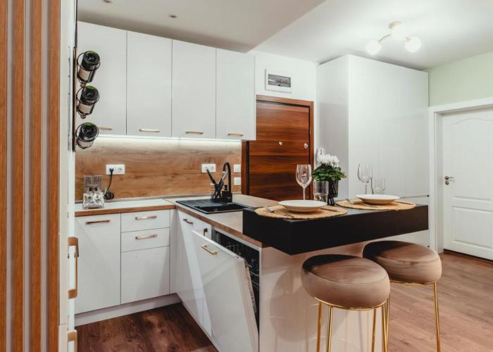 Elegant Living Apartment 2