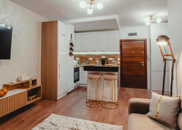 Elegant Living Apartment 2
