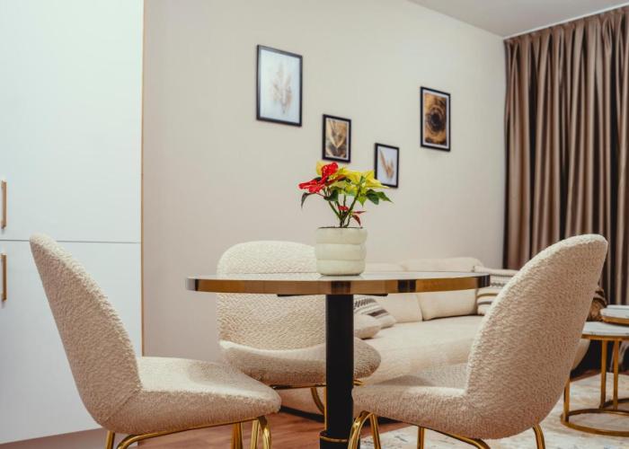 Elegant Living Apartment 1