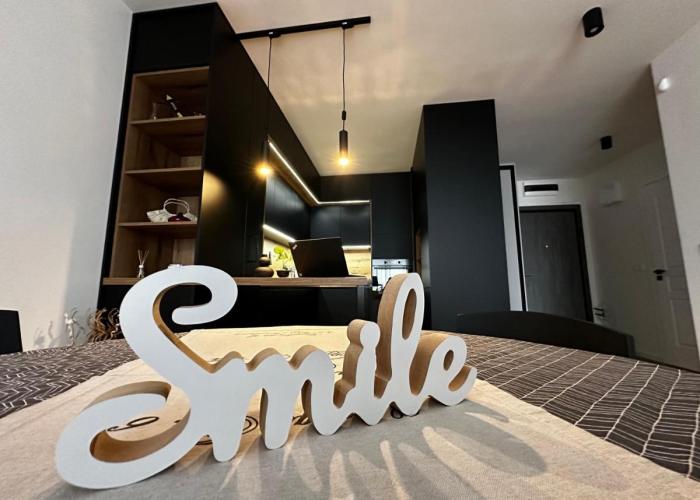 1BR Modern condo near the University
