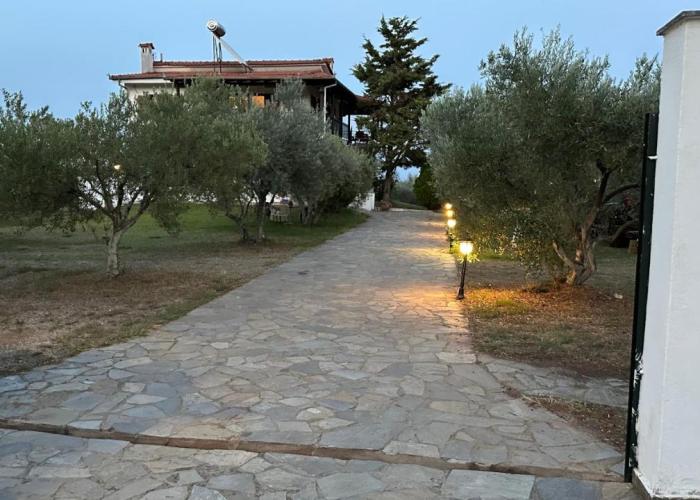MaVitaPlace Olympus Olive Oasis House