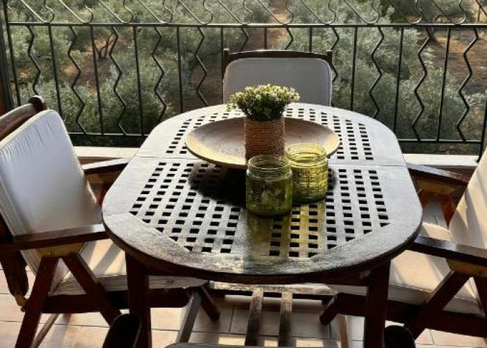MaVitaPlace Olympus Olive Oasis House